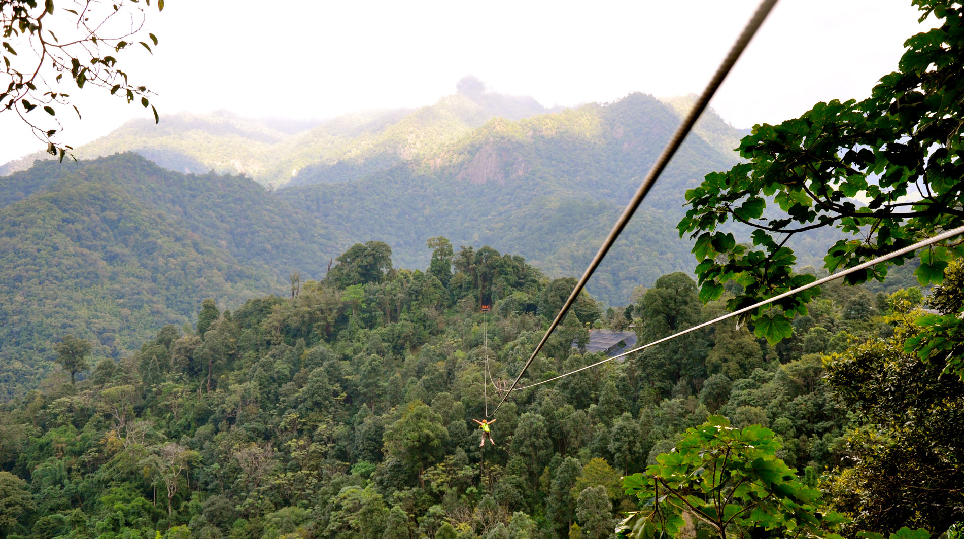 media/images/country-pages/thailand/the-north/the-north-trips/chiang-mai-zipline-adventure-full-day/chiangmai-zipline-9/2799133-1-eng-GB/chiangmai-zipline-9.jpg
