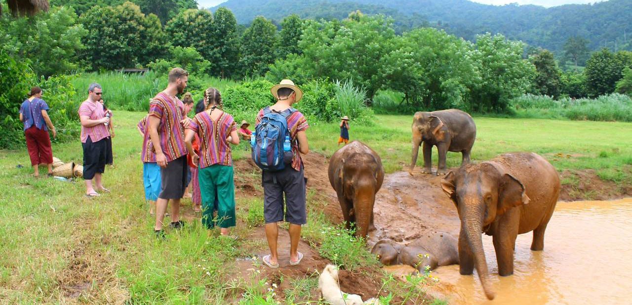 media/images/country-pages/thailand/the-north/the-north-trips/happy-elephant-experience-full-day/happy-elephant-camp-b/2805135-1-eng-GB/happy-elephant-camp-b.jpg