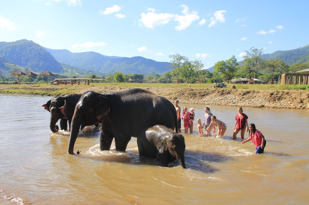 media/images/country-pages/thailand/the-north/the-north-trips/happy-elephant-experience-full-day/happy-elephant-home/2805147-1-eng-GB/happy-elephant-home.jpg