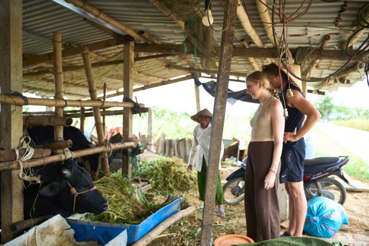 media/images/country-pages/vietnam/destination-tiles/the-central-coast/hoi-an-cooking-and-culture-experience/farm/4339798-1-eng-GB/farm.jpg