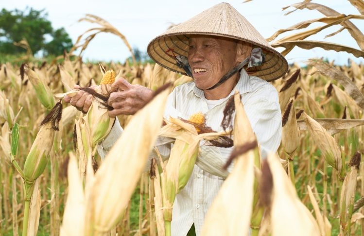 media/images/country-pages/vietnam/destination-tiles/the-central-coast/hoi-an-cooking-and-culture-experience/farmer/4339774-1-eng-GB/farmer.jpg