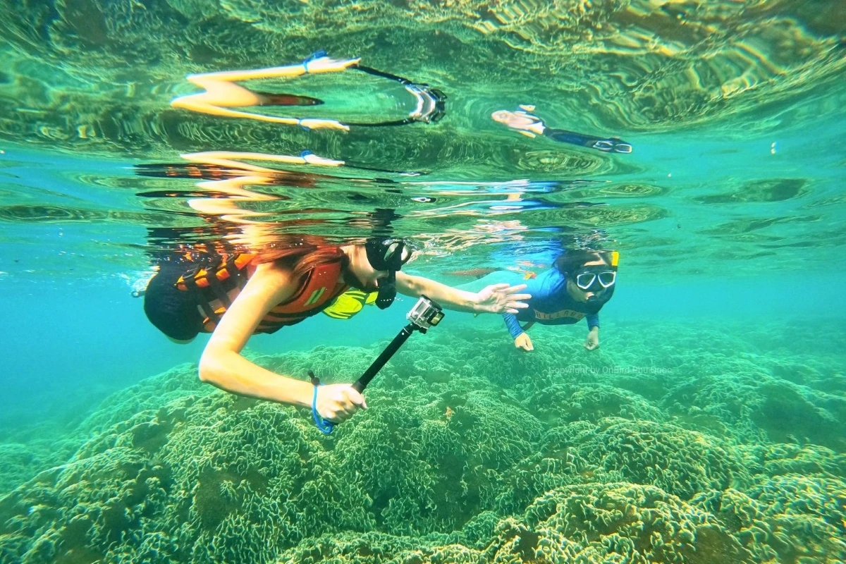 media/images/country-pages/vietnam/destination-tiles/the-southern-coast/backpacker-best-of-phu-quoc/fmpq4/4138714-1-eng-GB/fmpq4.png