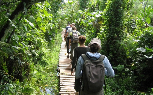 media/images/country-pages/vietnam/destination-tiles/the-southern-coast/sightseeing-to-the-north-of-phu-quoc/snpq6/4133826-1-eng-GB/snpq6.jpg