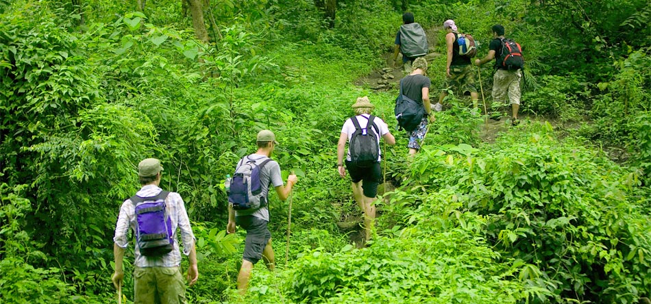 media/images/country-pages/vietnam/hanoi-and-nearby/trips/cuc-phuong-wildlife-experience/cuc-phuong-park-trekking/3651740-1-eng-GB/cuc-phuong-park-trekking.jpg