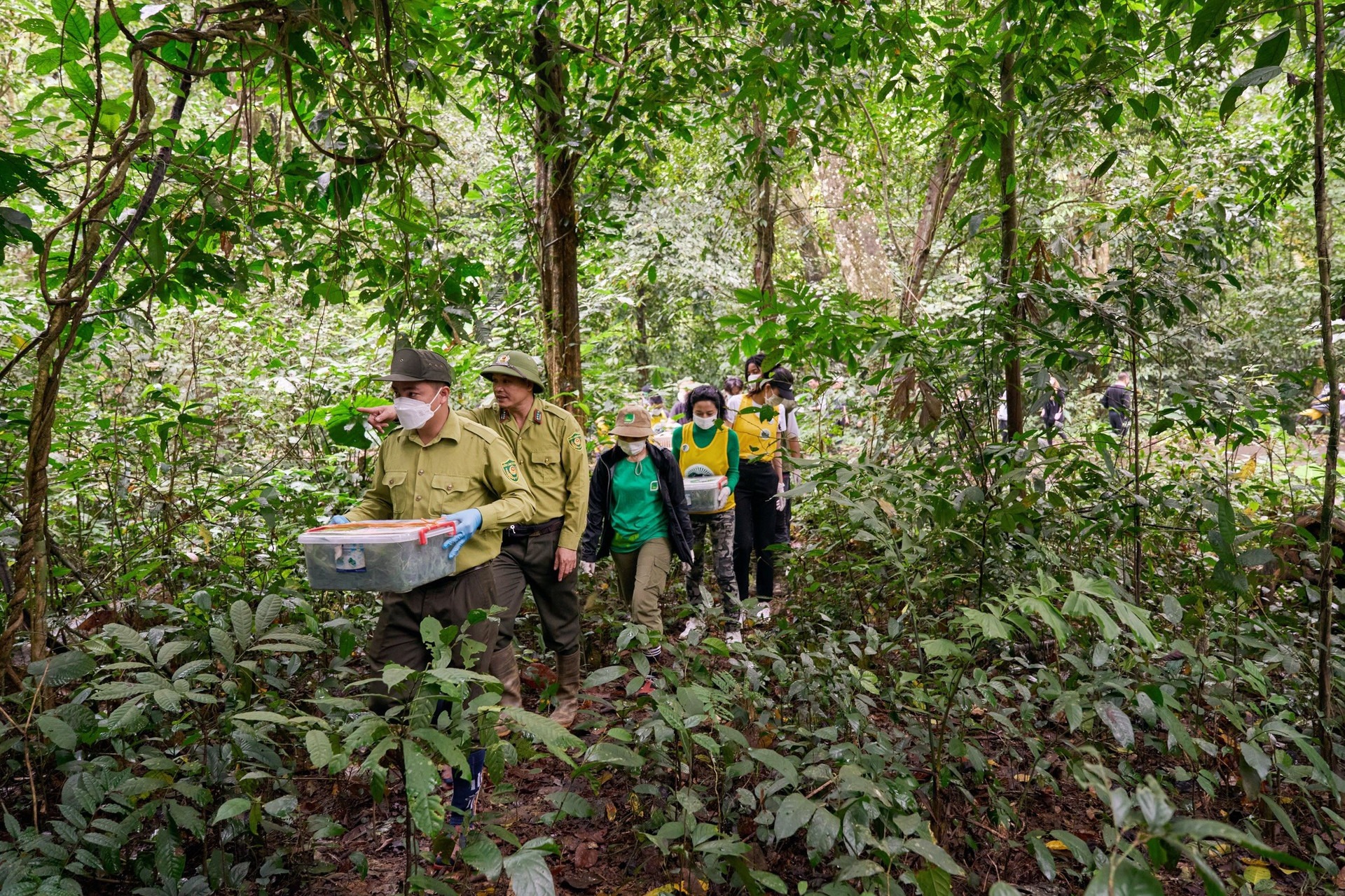 media/images/country-pages/vietnam/hanoi-and-nearby/trips/cuc-phuong-wildlife-experience/image.daidoanket.vn-images-uploa/3651752-1-eng-GB/image.daidoanket.vn-images-uploa.jpg