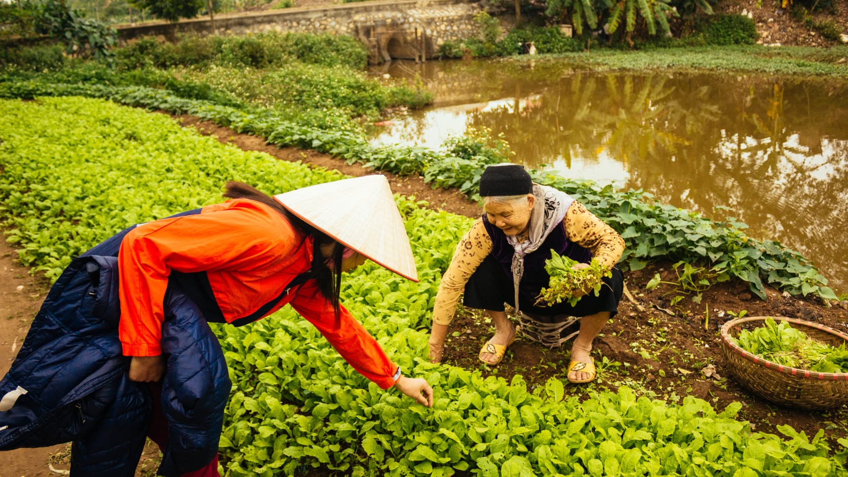 media/images/country-pages/vietnam/hanoi-and-nearby/trips/hanoi-green-farm-experience/25b07f5551ab0d152e08f8e7fb786bd2/3651610-1-eng-GB/25b07f5551ab0d152e08f8e7fb786bd2.jpg