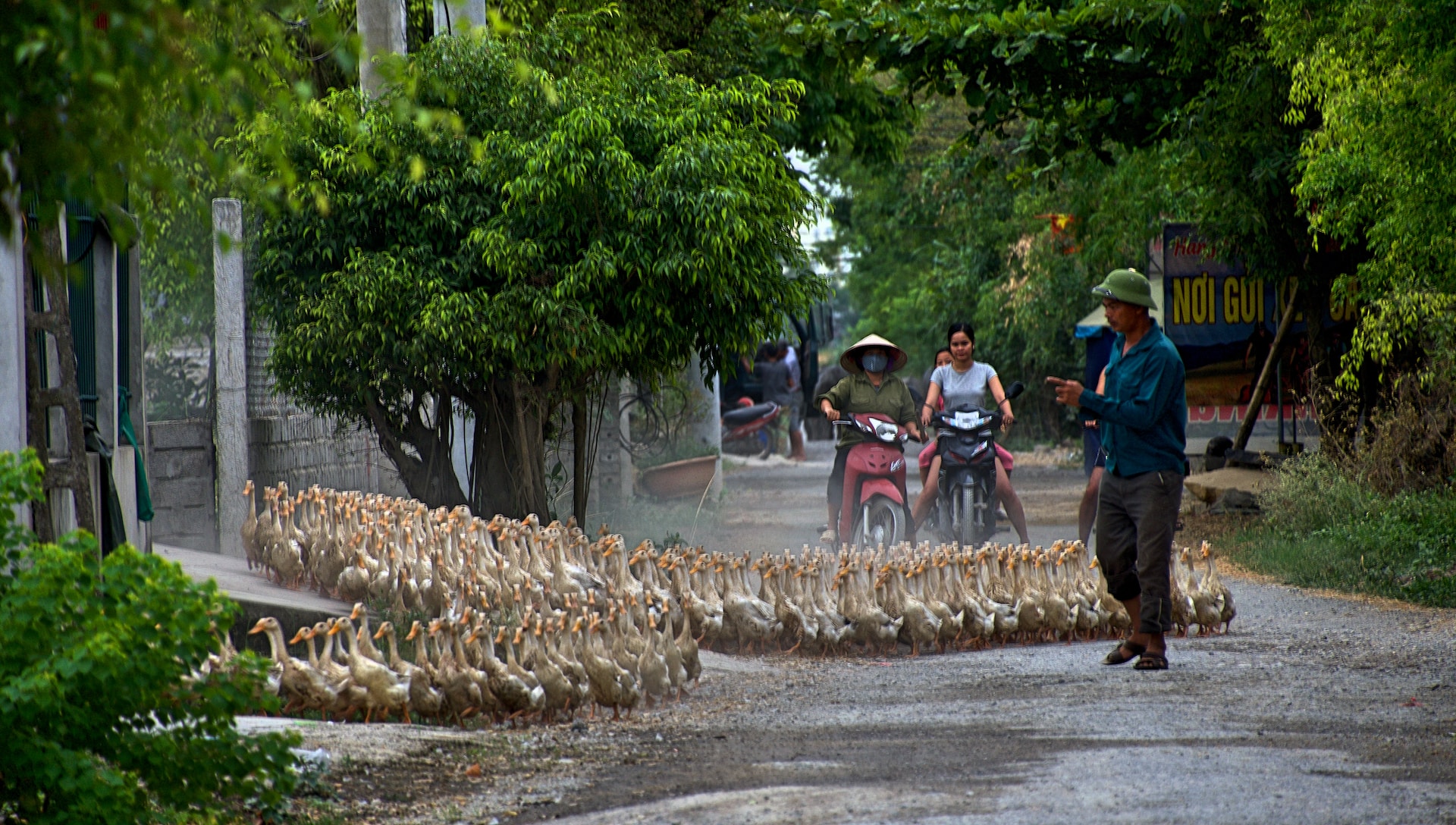 media/images/country-pages/vietnam/hanoi-nearby/connect-stays/backpacker-ha-noi-to-ho-chi-minh-connect-and-stay/joss-woodhead-ddhrmla2uey-unsplash/3398854-1-eng-GB/joss-woodhead-ddhrmla2uey-unsplash.jpg