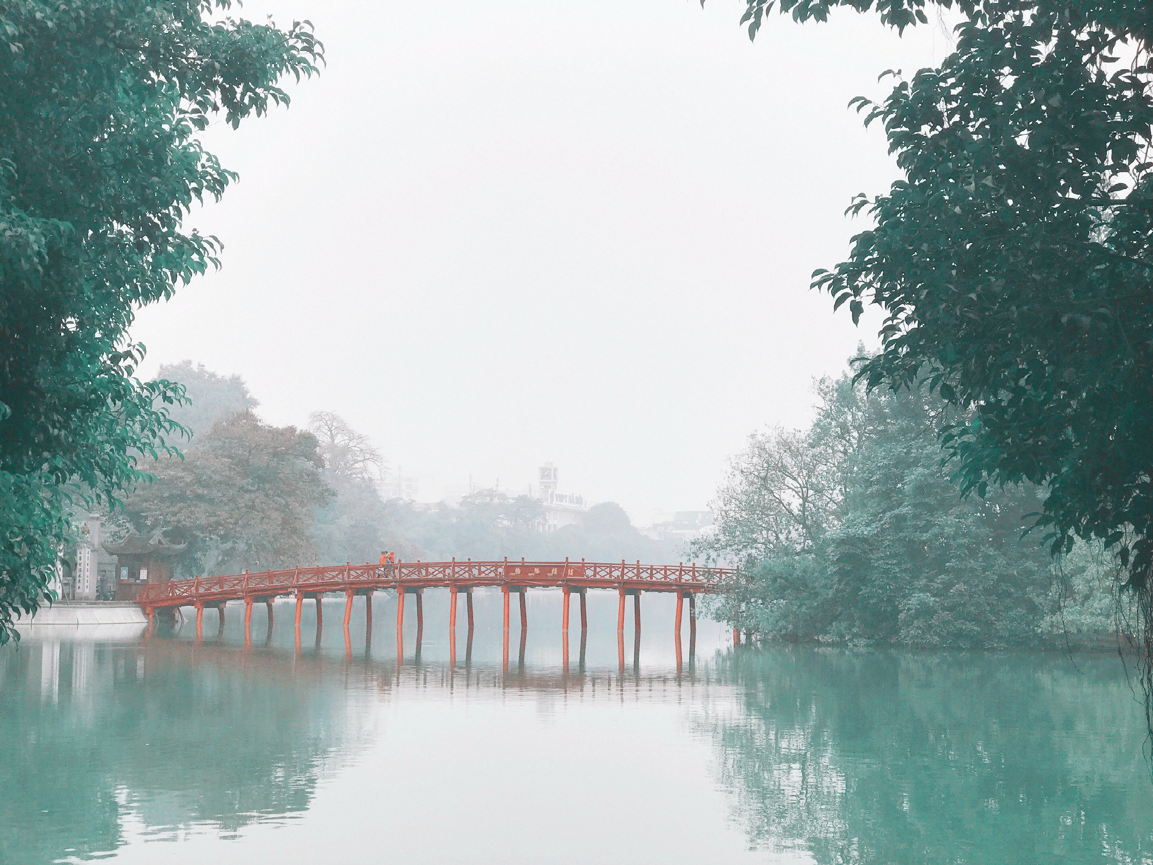 media/images/country-pages/vietnam/hanoi-nearby/trips/hanoi-old-quarter-walking-experience/harry-tran-7oafzgyemco-unsplash/3407532-1-eng-GB/harry-tran-7oafzgyemco-unsplash.jpg