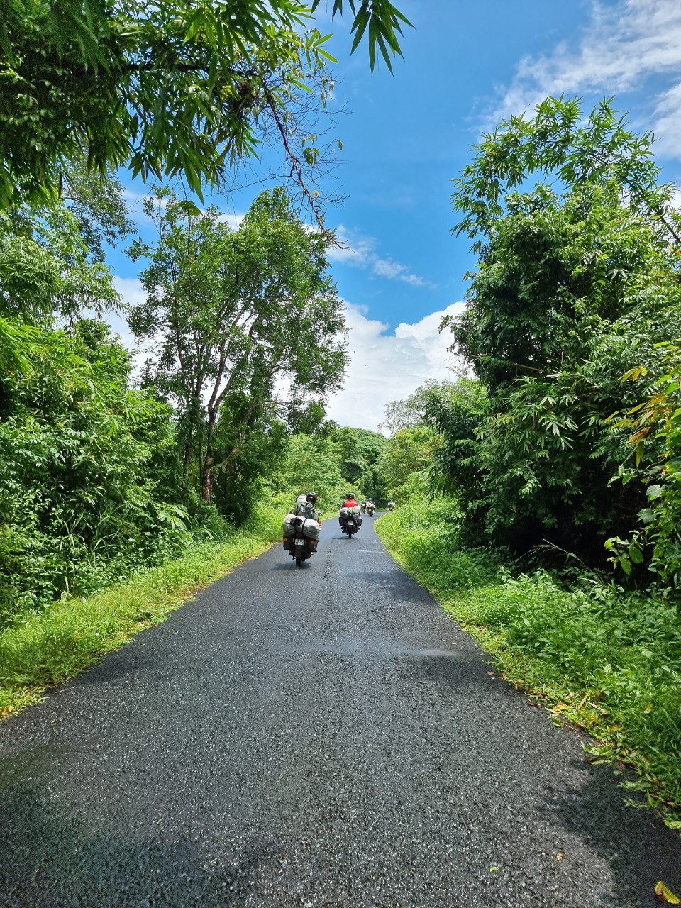 media/images/country-pages/vietnam/ho-chi-minh-and-nearby/trips/ho-chi-minh-to-da-lat-by-easy-rider/z4546937139578_16d6909795b0870dc54946a1bce793b7/3471957-1-eng-GB/z4546937139578_16d6909795b0870dc54946a1bce793b7.jpg