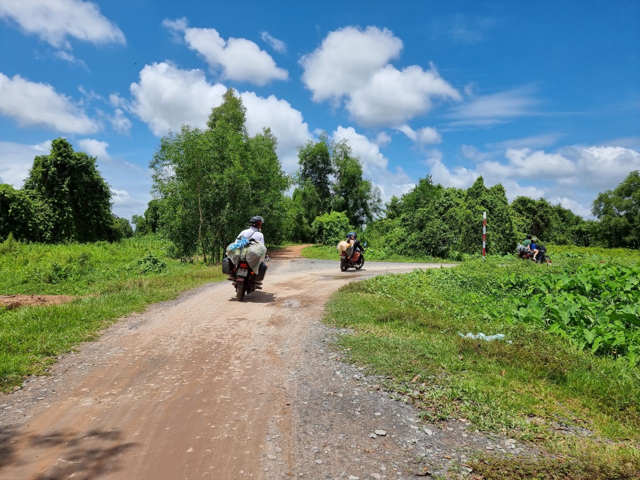 media/images/country-pages/vietnam/ho-chi-minh-and-nearby/trips/ho-chi-minh-to-da-lat-by-easy-rider/z4546937165478_ac8e1c0bfbc28af5ddea7129fa180e53/3471963-1-eng-GB/z4546937165478_ac8e1c0bfbc28af5ddea7129fa180e53.jpg
