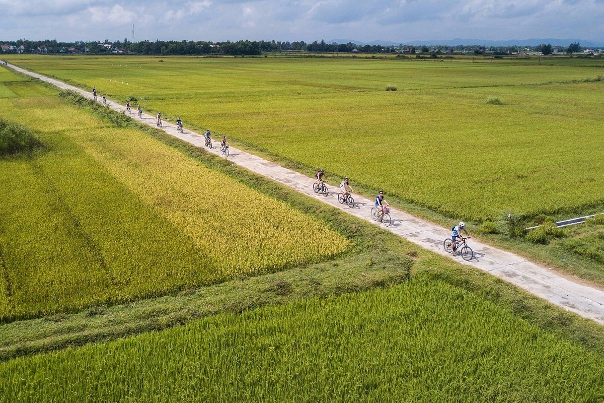 media/images/country-pages/vietnam/the-central-coast/best-of-city/comfort-best-of-hoi-an/cycling-2/3437971-1-eng-GB/cycling-2.jpg