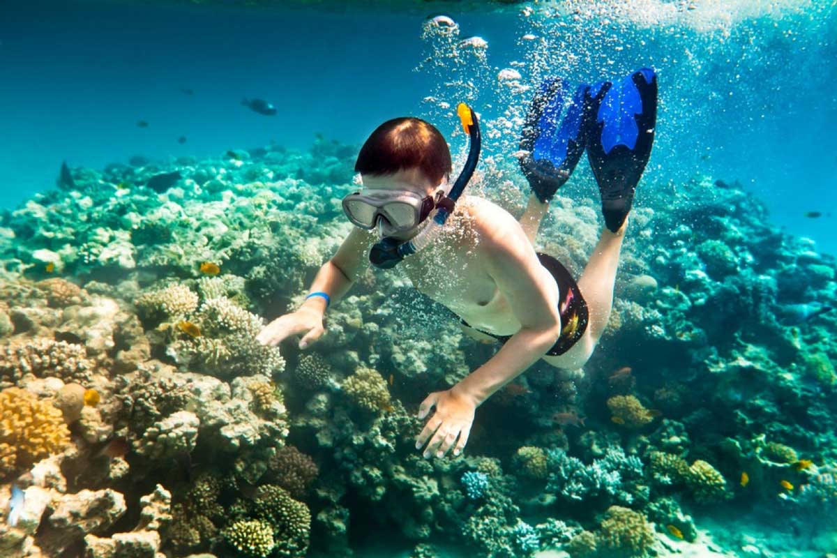 media/images/country-pages/vietnam/the-central-coast/trips/cham-island-homestay-experience/cham-island-snorkeling-tour-2/3641807-1-eng-GB/cham-island-snorkeling-tour-2.jpg