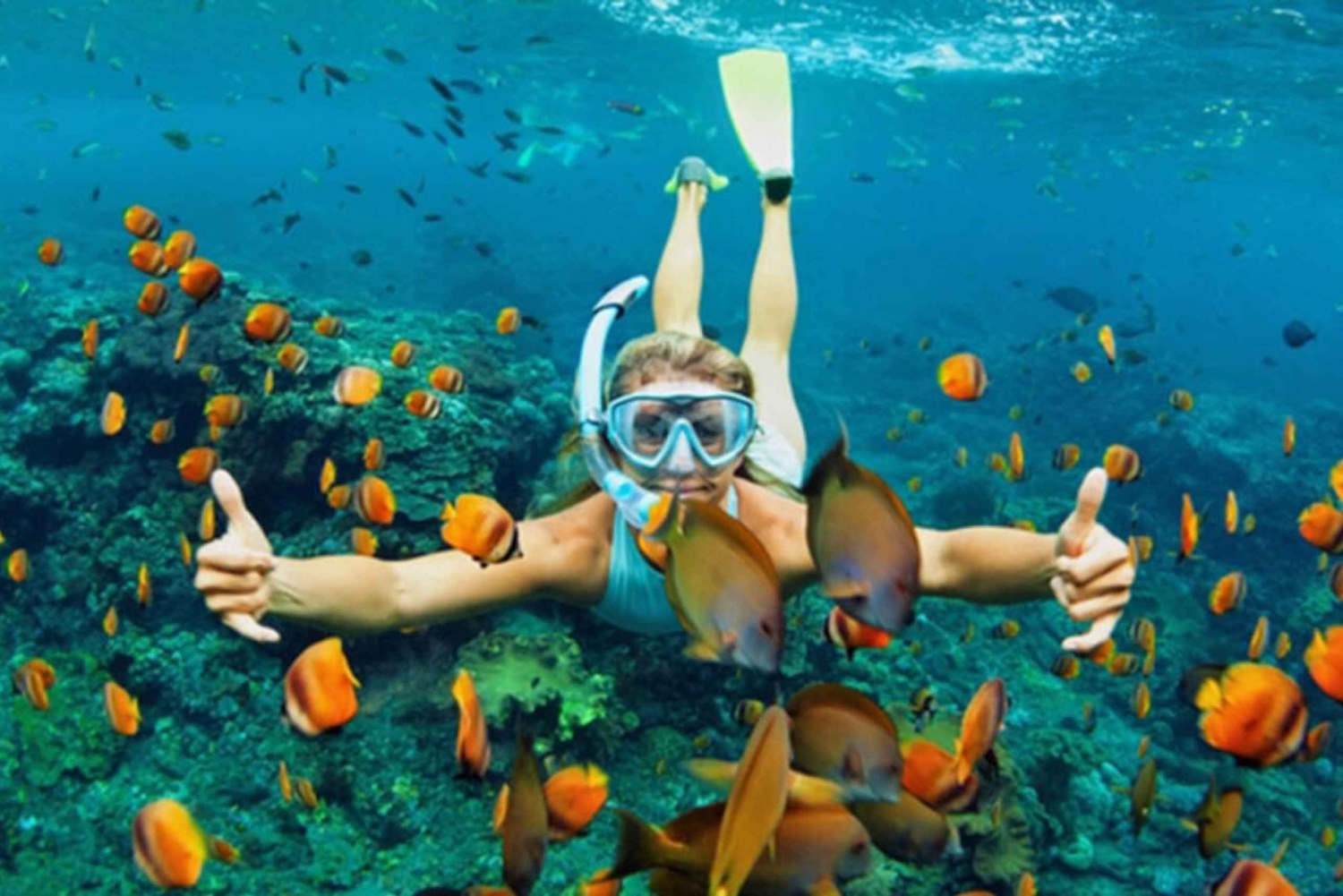 media/images/country-pages/vietnam/the-central-coast/trips/cham-island-homestay-experience/da-nang-hoi-an-discovery-cham-island-and-snorkeling-1-day-1864072/3641801-1-eng-GB/da-nang-hoi-an-discovery-cham-island-and-snorkeling-1-day-1864072.jpg