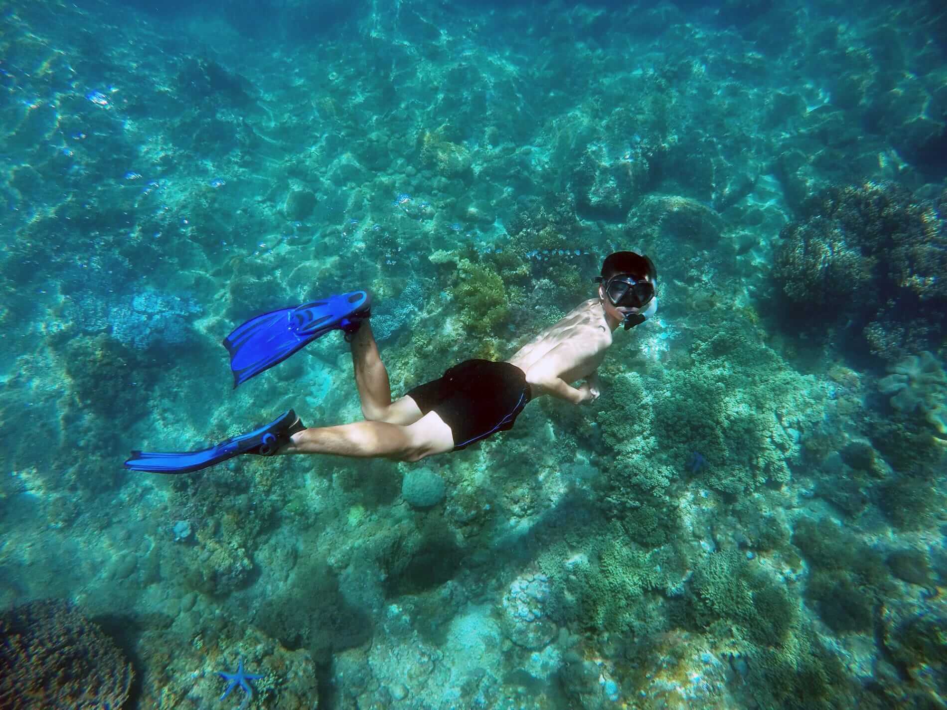 media/images/country-pages/vietnam/the-central-coast/trips/cham-island-homestay-experience/diving-4/3641883-1-eng-GB/diving-4.jpg