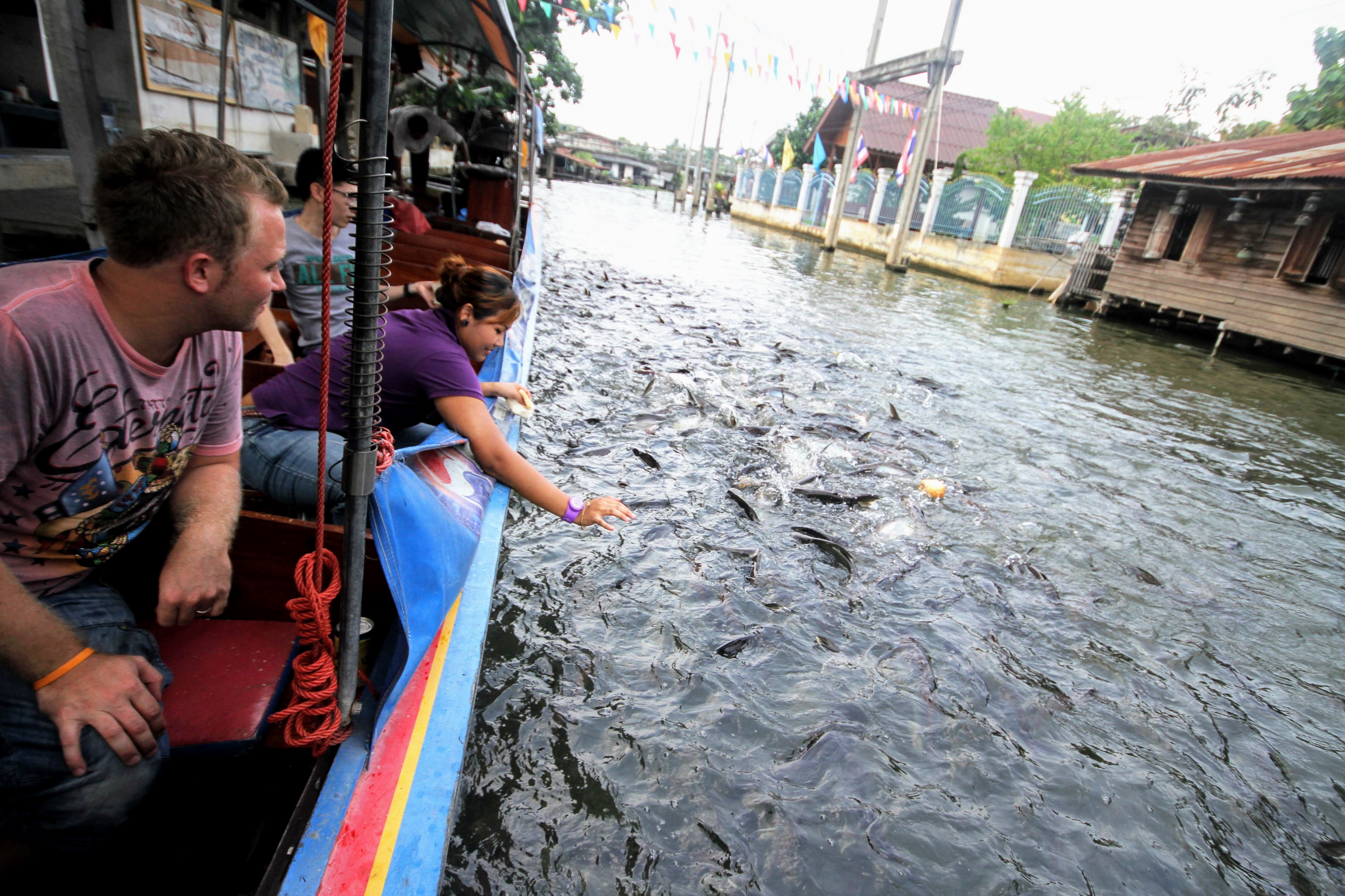 media/images/thailand/bangkok-and-nearby/trips/backwaters-of-bangkok/38.feeding-fish/2770823-1-eng-GB/38.feeding-fish.jpg