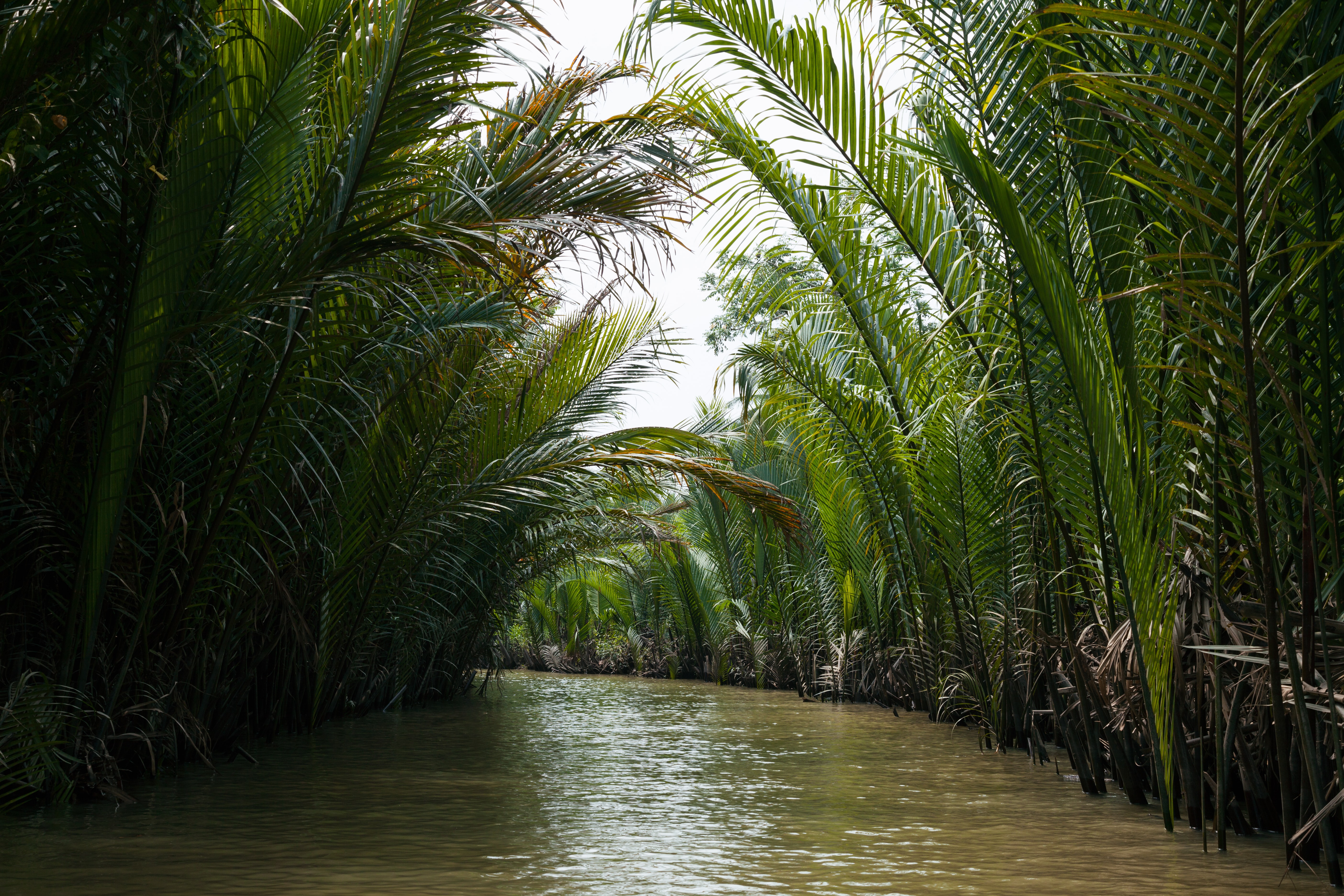 media/images/vietnam2/destination-tiles/the-mekong-delta-4/2770224-1-eng-GB/the-mekong-delta-4.jpg