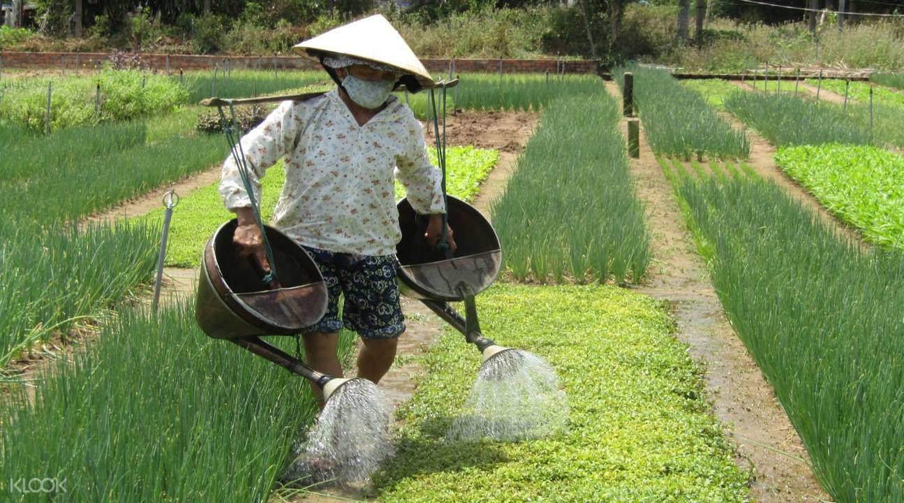 media/images/vietnam2/the-central-coast/trips/hoi-an-cooking-experience-full-day/hoi-an-cooking-experience-full-day-14/2770144-1-eng-GB/hoi-an-cooking-experience-full-day-14.jpg