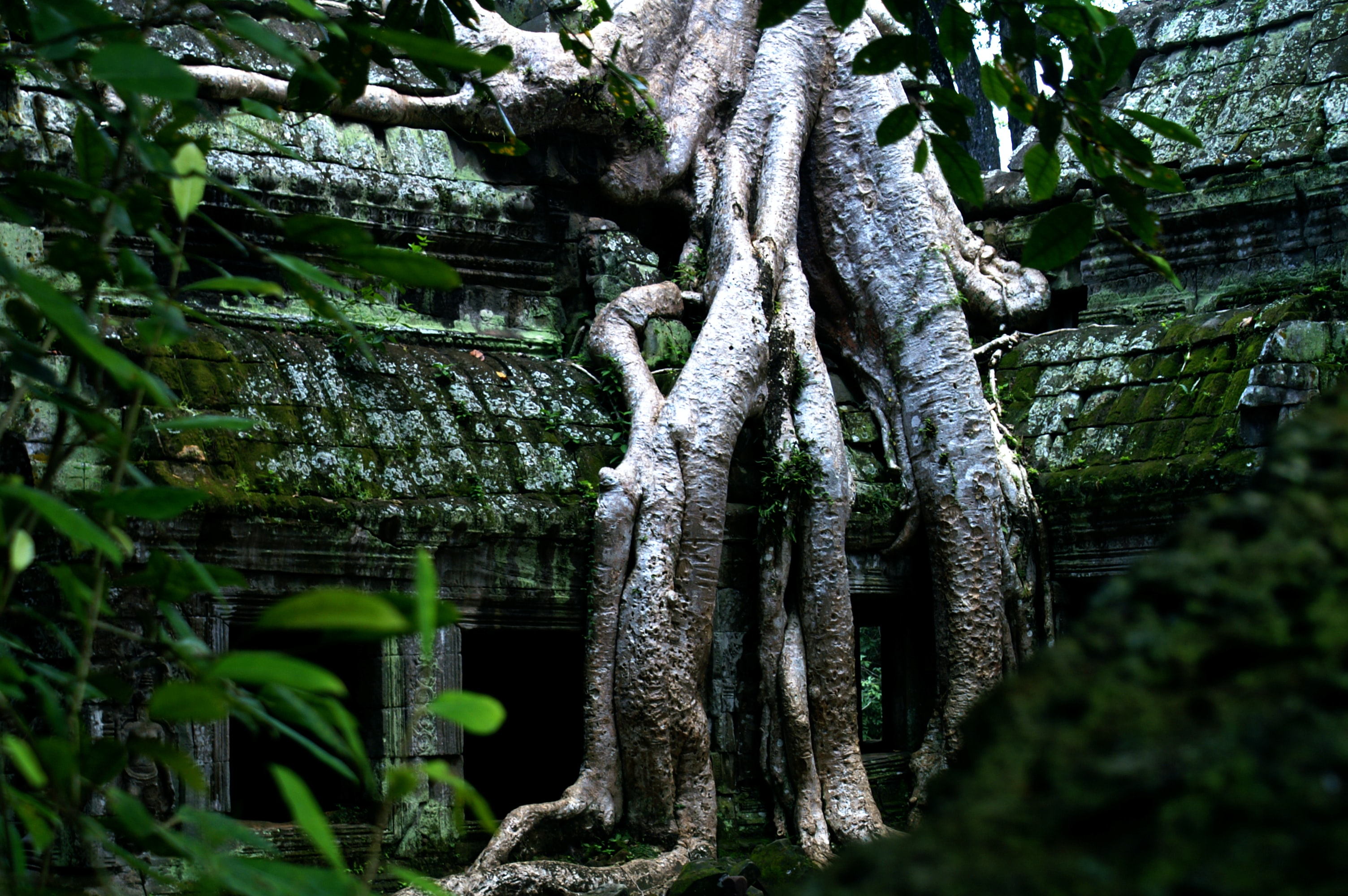 Siem Reap and Nearby