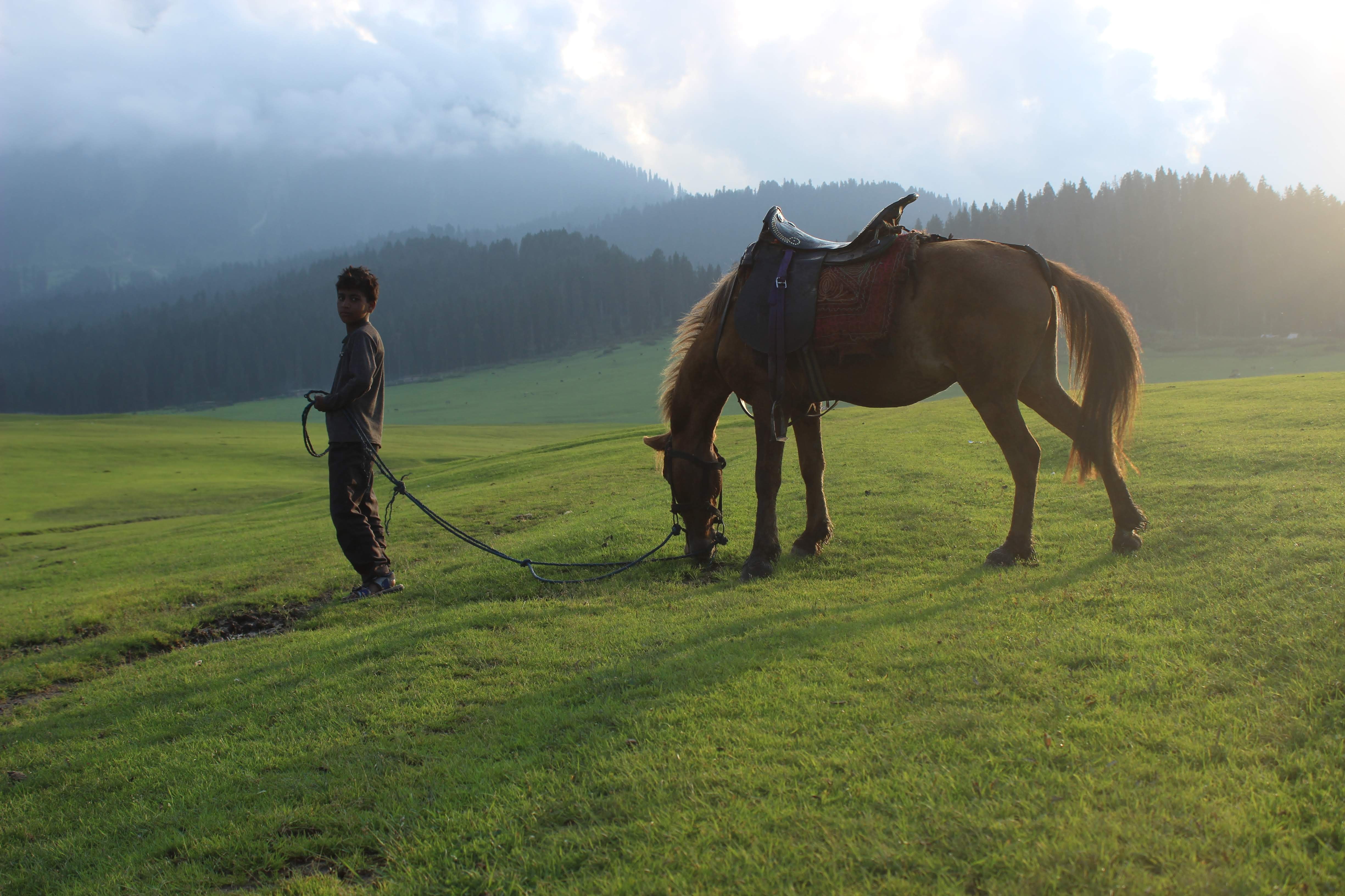 Jammu and Kashmir