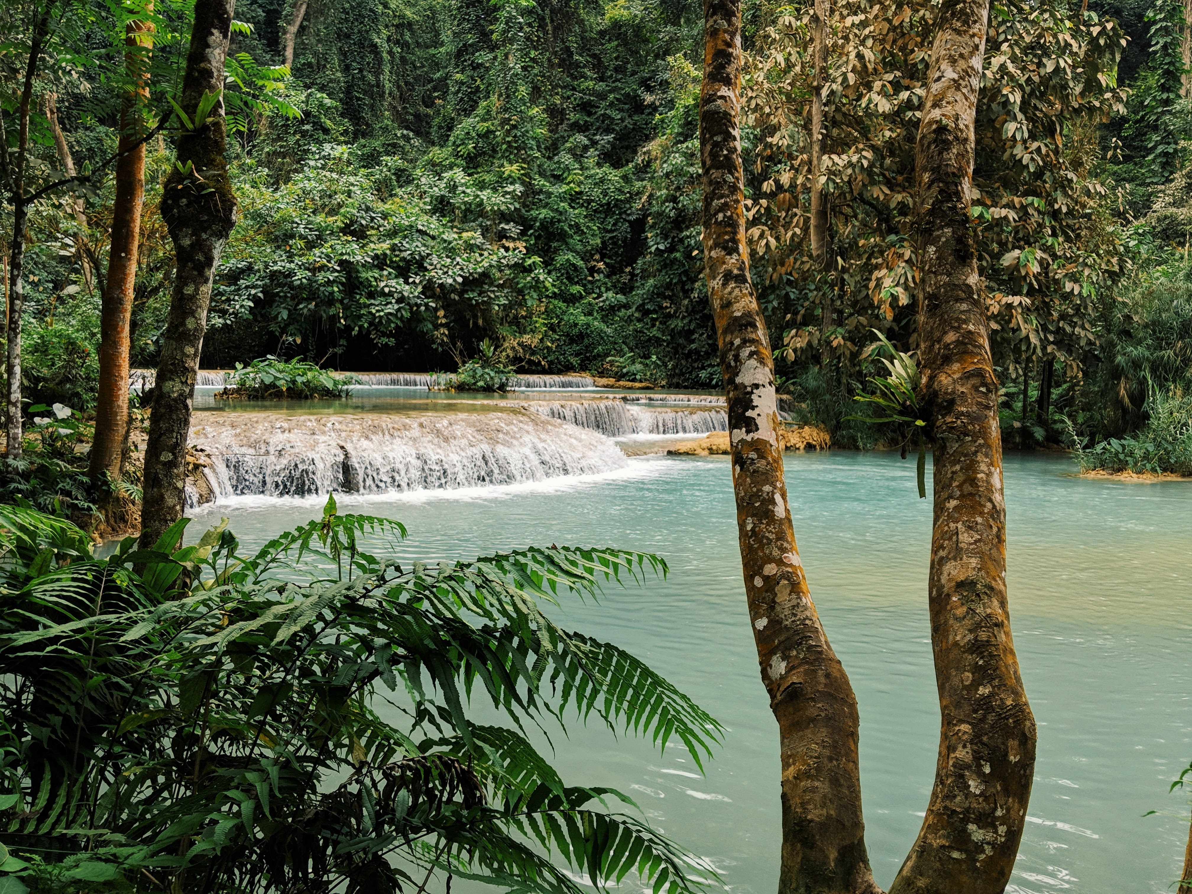 Luang Prabang and Nearby