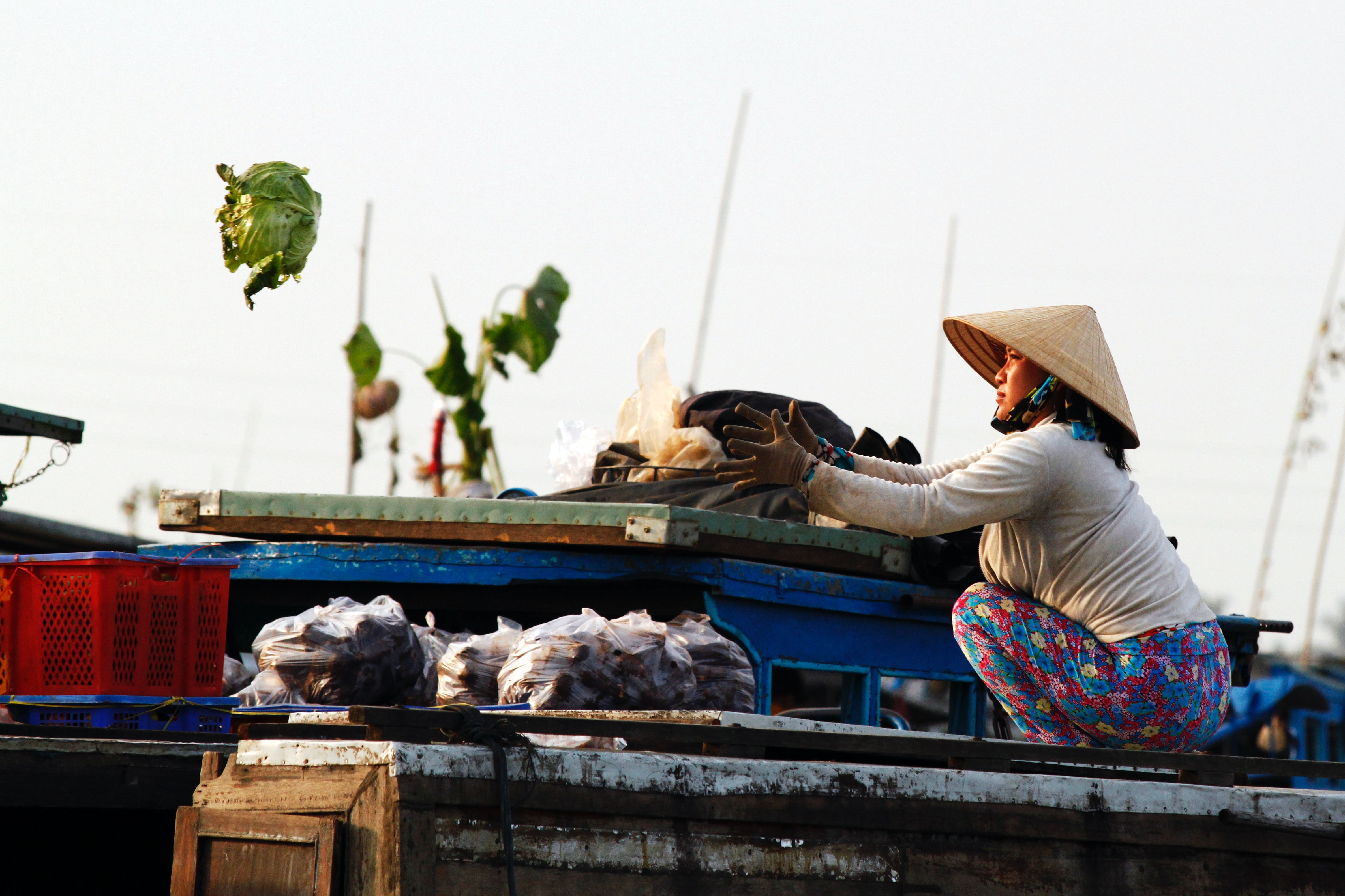 The Mekong Delta