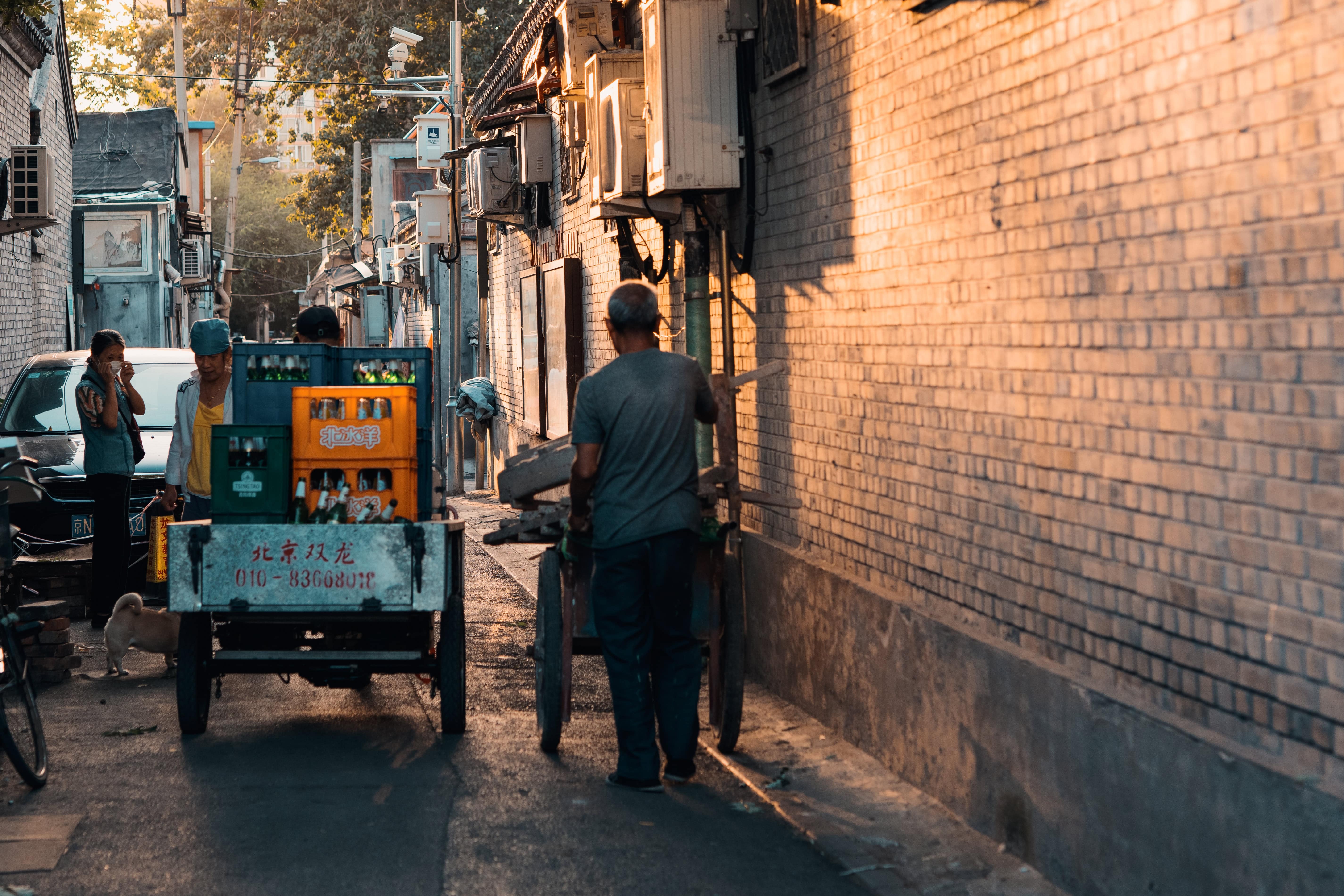 Beijing's Hutongs and Forbidden City by Electric Bicycle