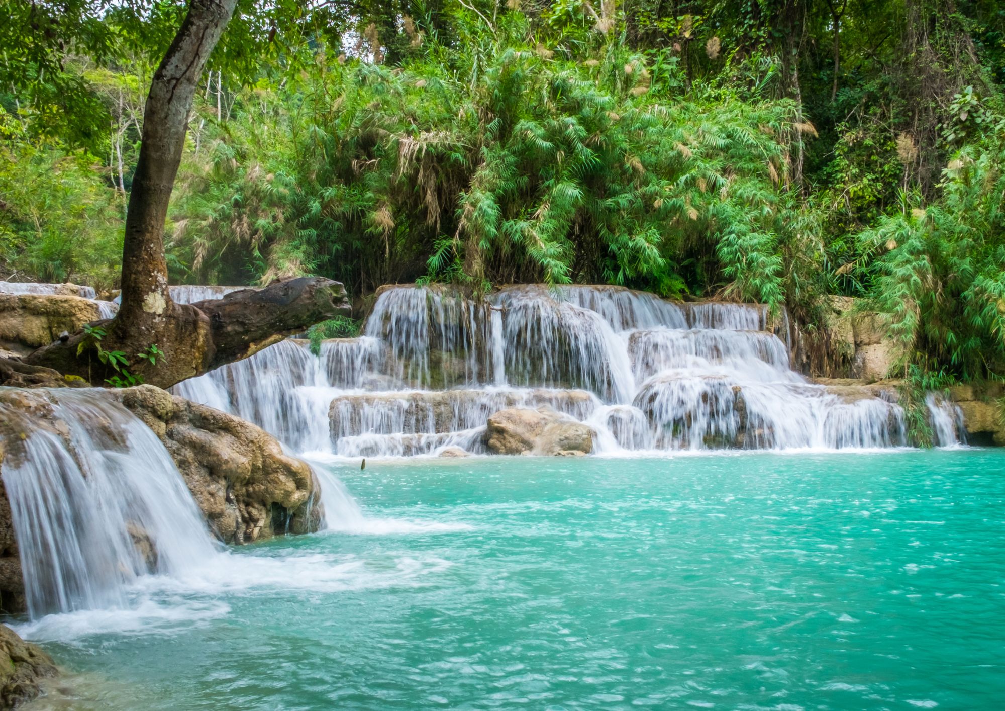 Kuang Si Waterfall Experience