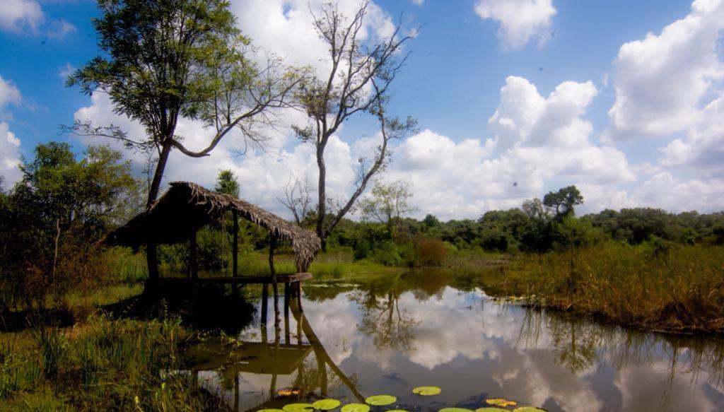 Habarana Jungle Camping