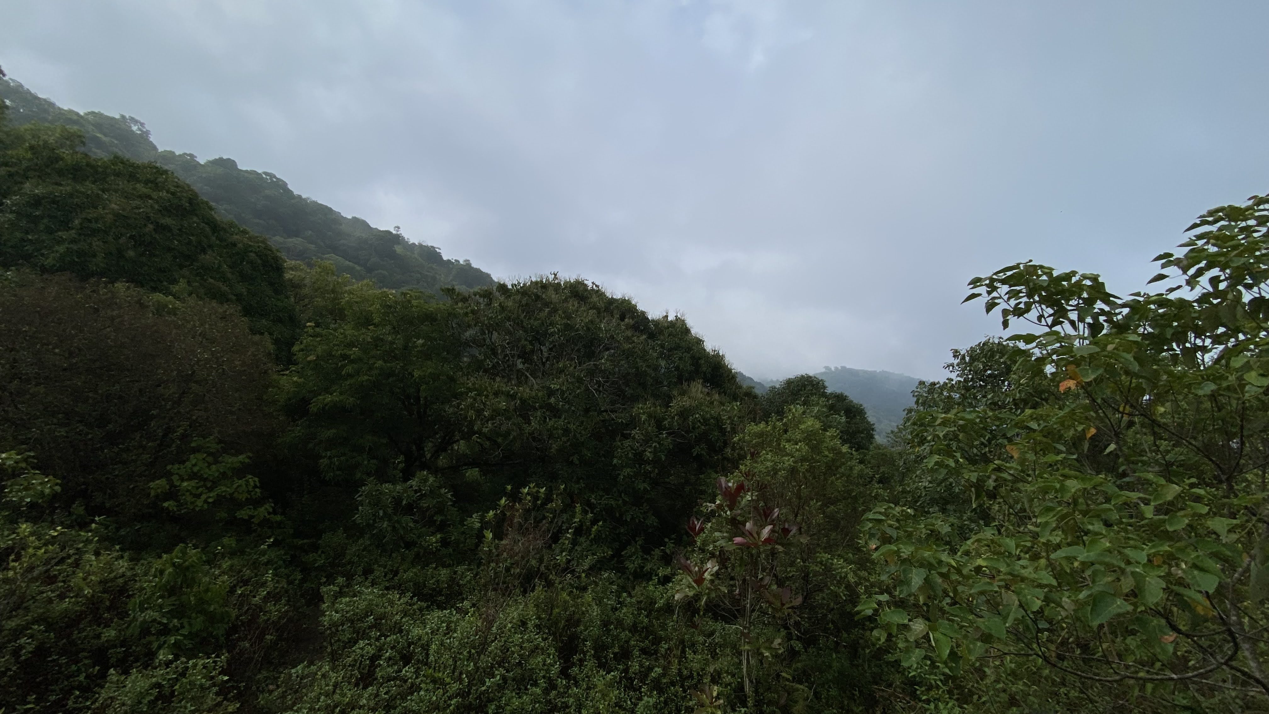 Bangkok to Chiang Mai Khao Yai National Park Explorer
