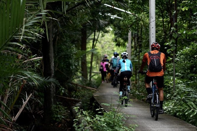 Green Lungs of Bangkok by Bike