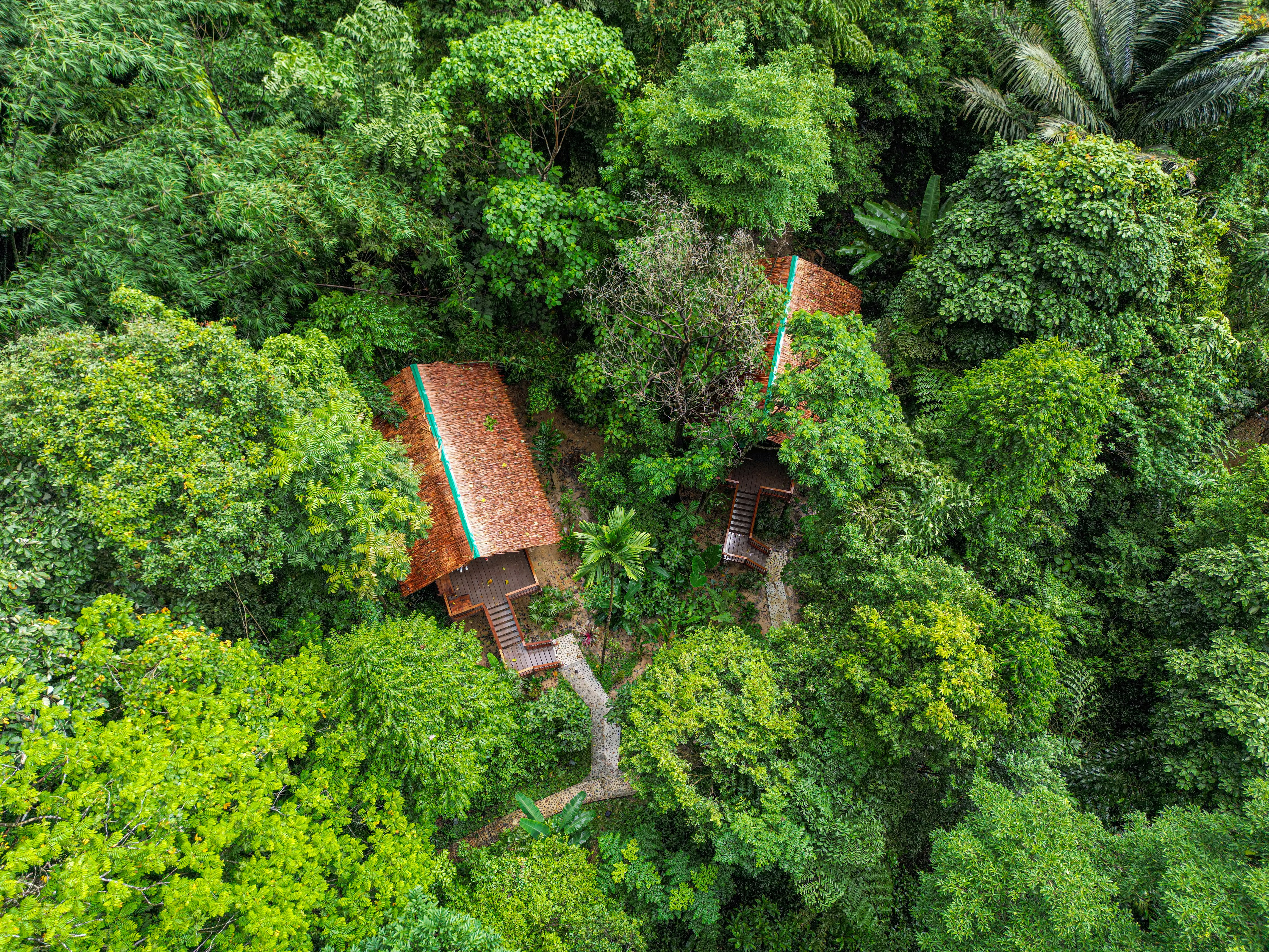Backpacker Plus Phuket to Koh Phangan Explorer