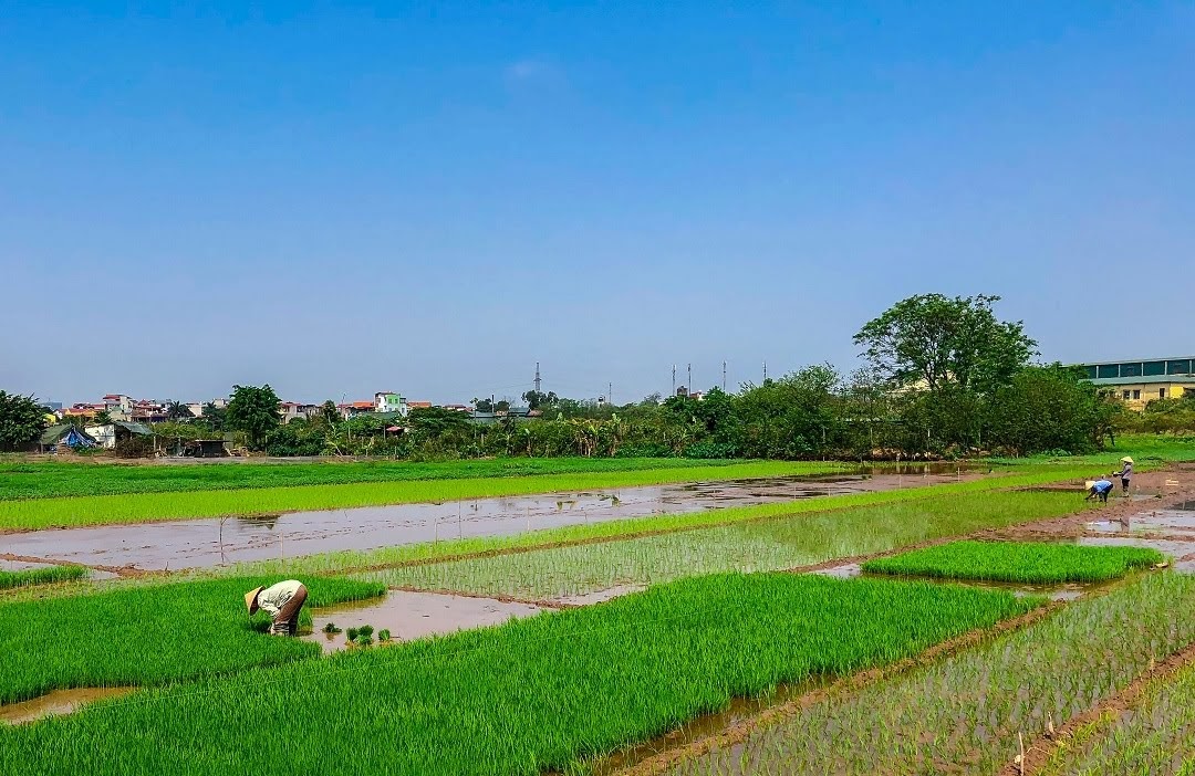 Hanoi Green Farm Experience
