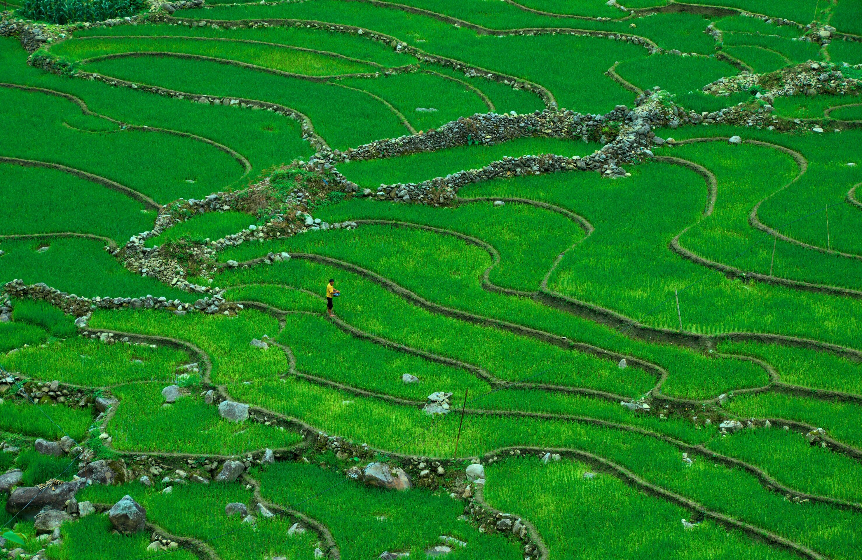 Sapa Local Village Trek