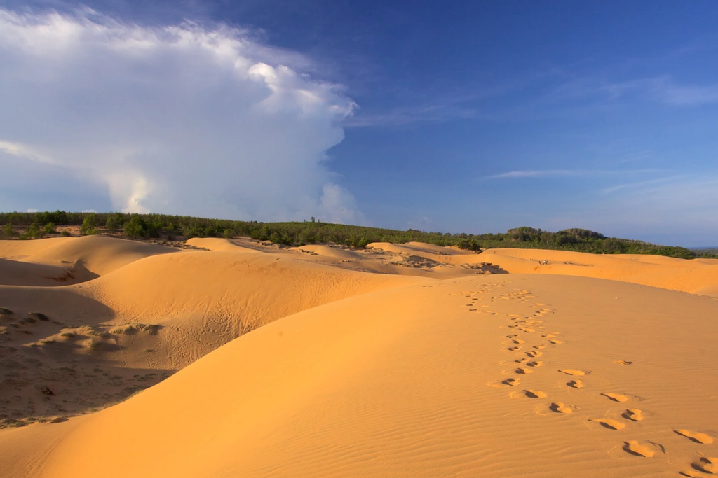 Comfort Ho Chi Minh to Mui Ne Beach Experience