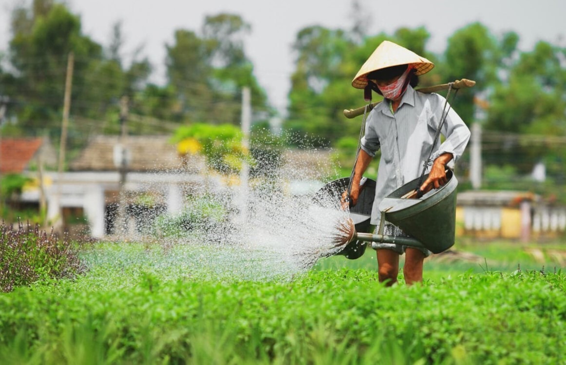 Comfort Best of Hoi An